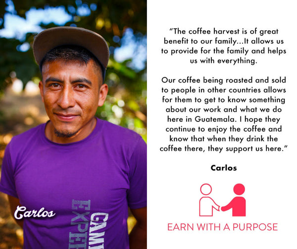 Medium Roast Guatemalan Coffee